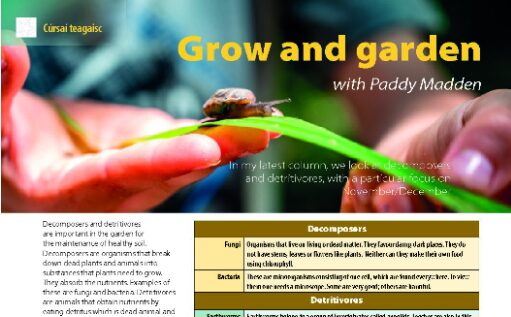 Grow and garden (November)