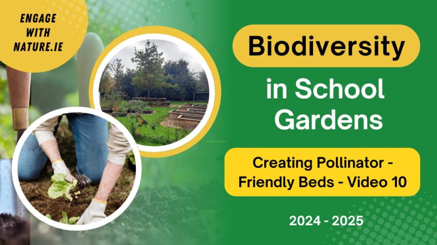 Creating Pollinator-Friendly Beds