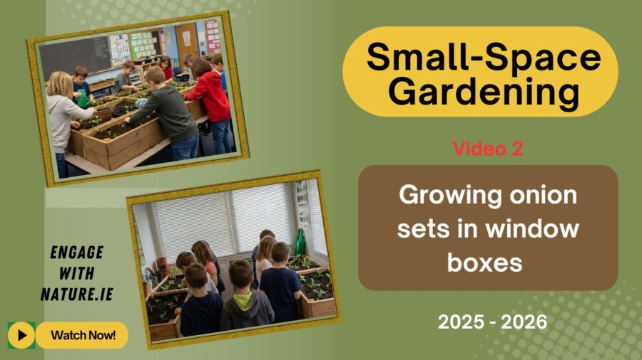 Small-Space Gardening (2)